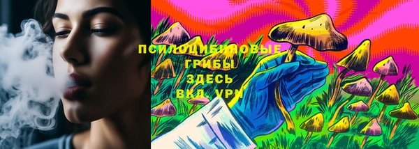 МДПВ Карталы