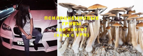 марки lsd Касимов