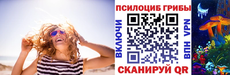 Галлюциногенные грибы Psilocybine cubensis  Купить закладки  Бронницы 
